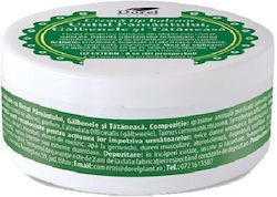 Dorel Plant Cremă pentru Vindecare 100gr Dorel Plant Cremă pentru Vindecare 100gr