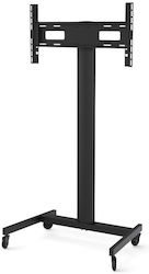 SMS Icon Fh Mt 1450 K12-025-EU-1 Βάση Τηλεόρασης Δαπέδου έως 75"