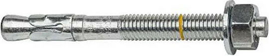 Celo Schraube Metallisch mit Durchmesser M12 und Länge 110mm 20Stück