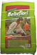 Plant Soil Bellefiori 40lt 09-Ι01-0045