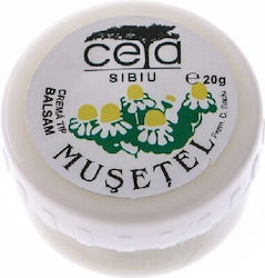 Ceta Sibiu Mustel Cremă pentru Vindecare 20gr Ceta Sibiu Mustel Cremă pentru Vindecare 20gr