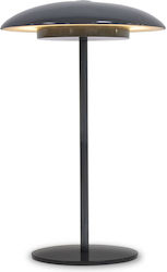 NewGarden Desktop LED Lamp 28x15cm