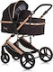 Chipolino Amore Adjustable 2 in 1 Baby Stroller...