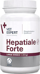 VetExpert Hepatiale Forte 40 tabs VetExpert Hepatiale Forte 40 tabs