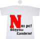 Drive Cambrio! "N" New Driver Sign