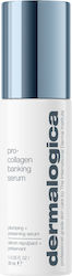Dermalogica Pro Collagen Banking Moisturizing & Anti-aging Serum Face for Firming 30ml