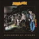 Marillion - Clutching At.. 2xLP