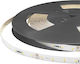 Cubalux Waterproof LED Strip Jazz 24V Warm Whit...