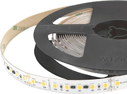 Cubalux LED Strip 24V 5m