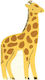 Giraffe Napkins 20x10.8cm 16pcs