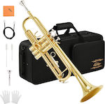 Eastar Trumpet Student