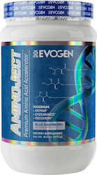 Evogen Aminoject 470gr Καρπούζι Evogen Aminoject 470gr Καρπούζι