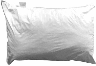 Pennie Madeira Sleep Pillow Cotton Medium 50x70cm