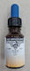 Rohrer & Klingner Replacement Ink for Fountain ...