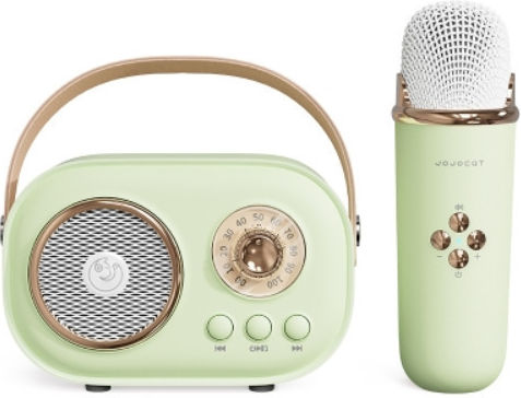 Ηχείο Karaoke με Ασύρματο Μικρόφωνο C20 Plus 5239546239586 Πράσινο
