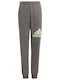 Adidas Copilăresc Pantalon de Trening Gri 1buc Essentials Big Logo