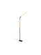 Trio Lighting Norris LED Floor Lamp H140xW43.6cm. with Warm White Light 1400lm Black