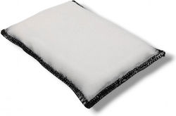 Wevora Sponges Cleaning for Interior Plastics - Dashboard Car