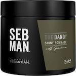 Sebastian Professional Pomade 75ml