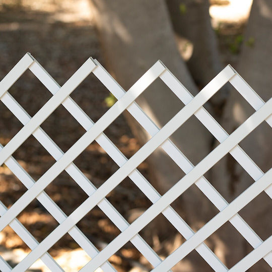 Trellis De Grădină Alb 100x200cm