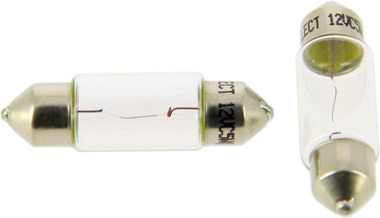 Michelin Lampen Auto C5W Halogen 12V 2Stück