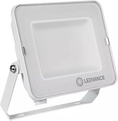 Ledvance Lumini De Inundație Cu LED-uri Proiector 50W Etanș 3000K Ledvance Lumini De Inundație Cu LED-uri Proiector 50W Etanș 3000K