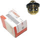 Yamaha Motorcycle Thermostat for Yamaha X-MAX 250
