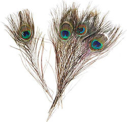 Next Craft Feathers Set of 6pcs