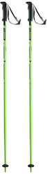 Elan Ski Pole Green