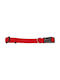 Glee Hundehalsband in Rot Farbe 10mm