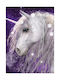BrandMac Pătură Fleece Multicoloră 100x140cm