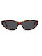 Celine Women's Sunglasses with Brown Tartaruga Plastic Frame and Gray Lens CL40251U-52A