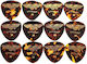 Prodigy Picks für Bouzouki Klassische Medium Tortoise Pearl Set 12Stück