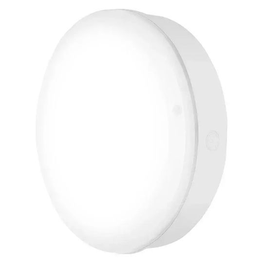 Ledvance Surface Wall-Mounted Outdoor Ceiling Light LED IP65 10W with Natural White Light