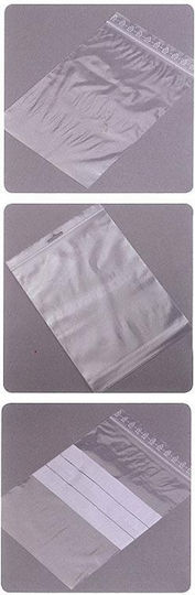 Next Security Zip Packaging Bag 22x31pcs 100pcs