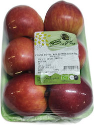 Μήλα Gala Βιολογικά Ελληνικά (ελάχιστο βάρος 1.1Kg)
