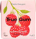 True Gum Ohne Zuckerzusatz 1Stück 21gr