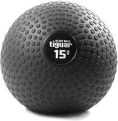 Tiguar Exercise Ball Slam 15kg in Gray Color