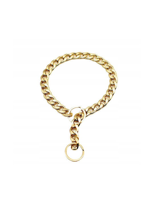 Itimport Hundehalsband in Gold Farbe Groß 45cm Itimport Hundehalsband in Gold Farbe Groß 45cm