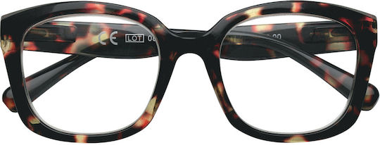 Zippo Reading Glasses +2.00 in Brown color 31Z-B30-AGM200