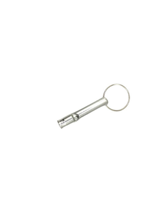 Keychain Silver