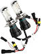 Auto Gs Lamps Car H4 Xenon 4300K Natural White 2pcs