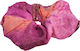 Ble Resort Collection Scrunchie Μωβ