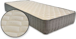 AegeanSleep Plus Foam Anatomic King Size Ergono...