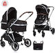 Chipolino AURA Adjustable 2 in 1 Baby Stroller ...