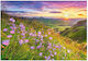 Sunrise Puzzle 2D 500 Pieces 53681