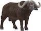 Schleich-S Wild Life για 3+ Ετών