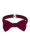 Valento Kids Bow Tie Burgundy