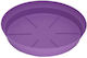 Farfurie Pot Plastic Violet 15x15buc 11027008