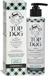 Top Dog Shampoo Dog